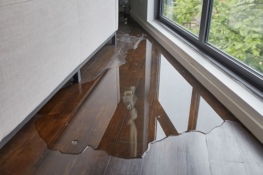 Wasserlache auf Holzfußboden vor einem Fenster